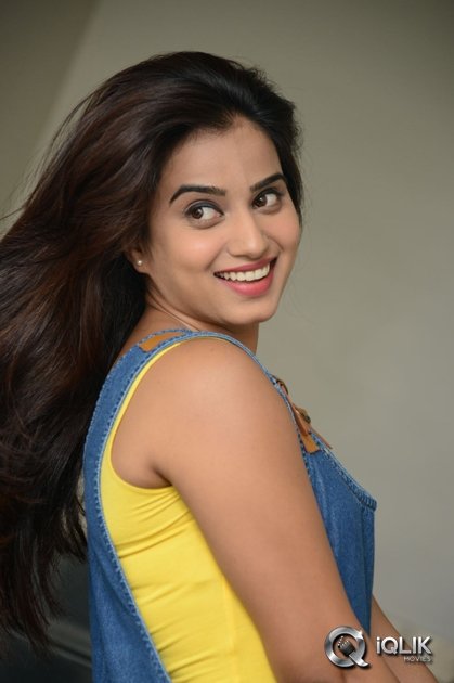 Dimple-Chopade-at-Krishnastami-Movie-Success-Meet